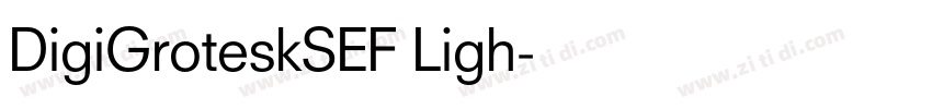 DigiGroteskSEF Ligh字体转换